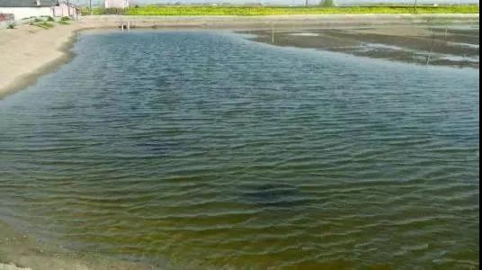 色翁荡息又大又硬又粗又爽