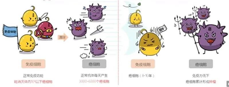 色翁荡息又大又硬又粗又爽