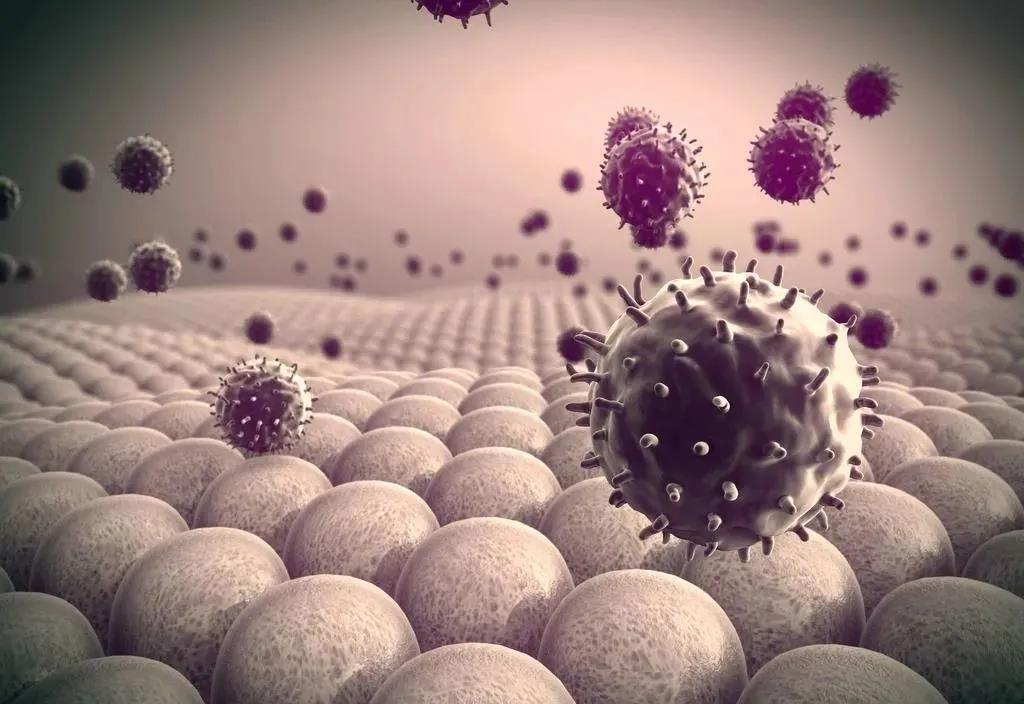 色翁荡息又大又硬又粗又爽