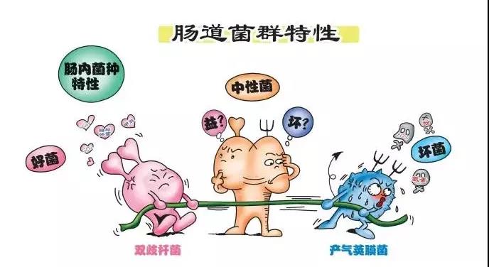 色翁荡息又大又硬又粗又爽