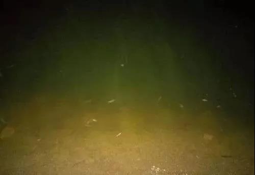 色翁荡息又大又硬又粗又爽