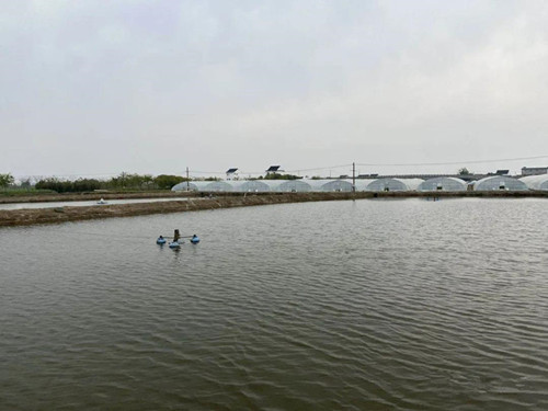 色翁荡息又大又硬又粗又爽