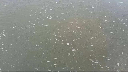 色翁荡息又大又硬又粗又爽