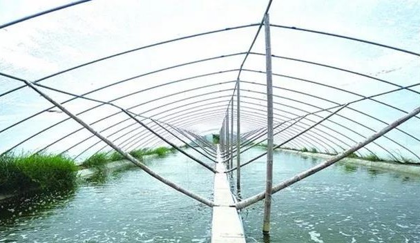 色翁荡息又大又硬又粗又爽