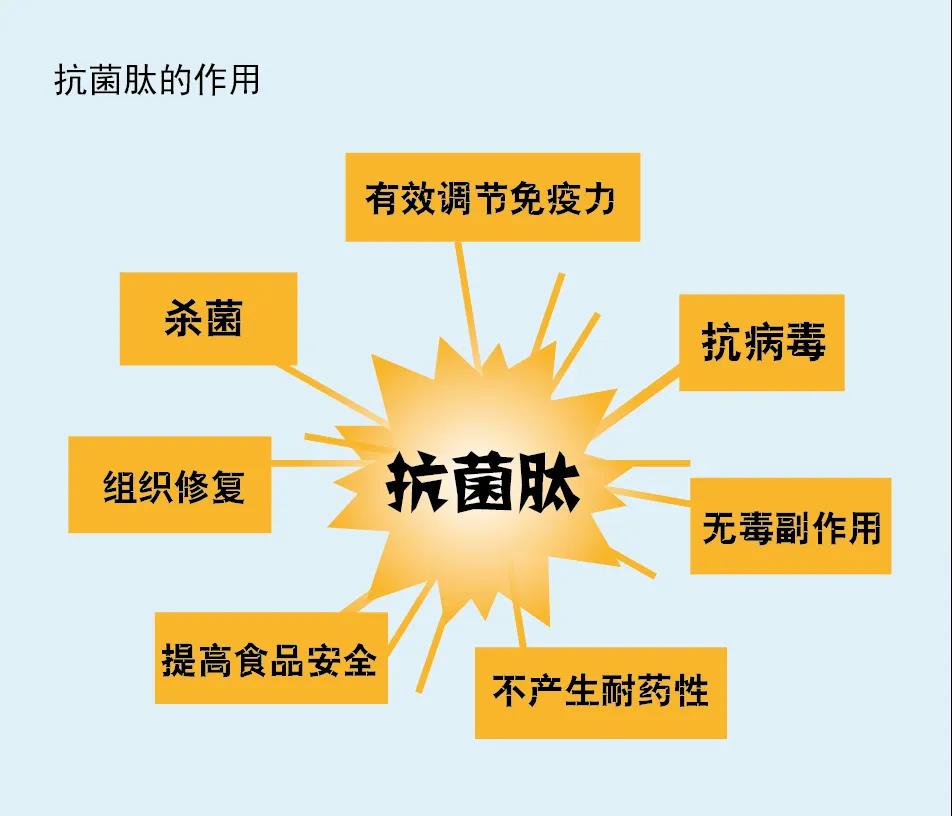 色翁荡息又大又硬又粗又爽