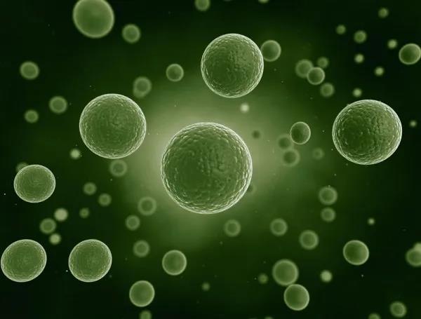 色翁荡息又大又硬又粗又爽