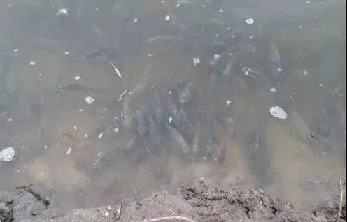 色翁荡息又大又硬又粗又爽