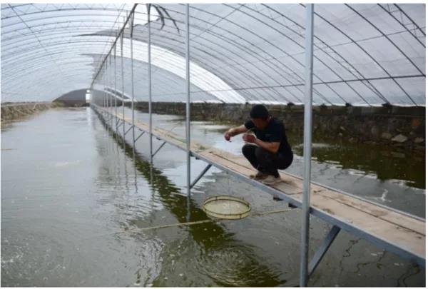 色翁荡息又大又硬又粗又爽