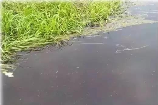 色翁荡息又大又硬又粗又爽