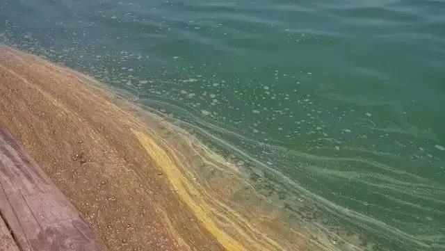 色翁荡息又大又硬又粗又爽