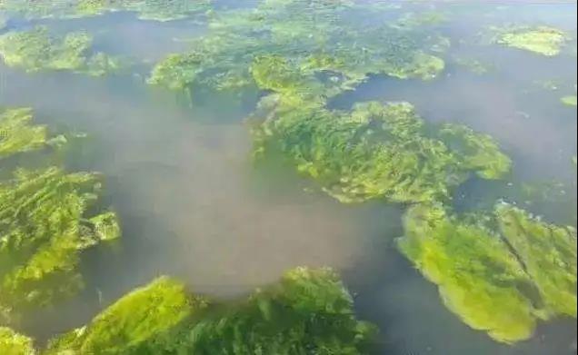 色翁荡息又大又硬又粗又爽