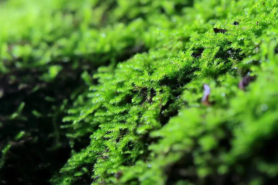 色翁荡息又大又硬又粗又爽