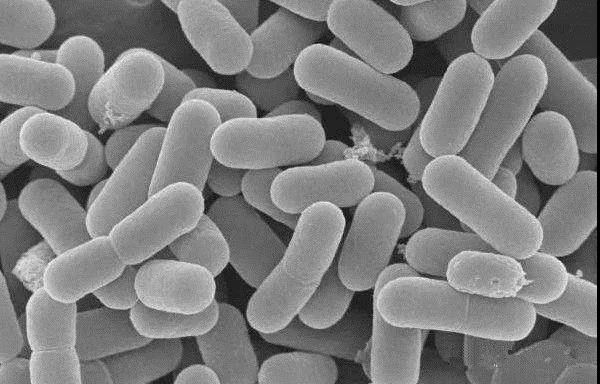 色翁荡息又大又硬又粗又爽