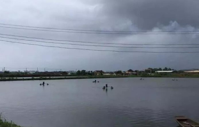 色翁荡息又大又硬又粗又爽