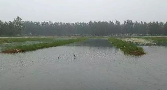 色翁荡息又大又硬又粗又爽