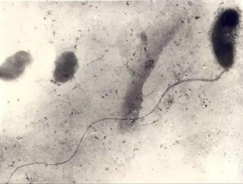 色翁荡息又大又硬又粗又爽