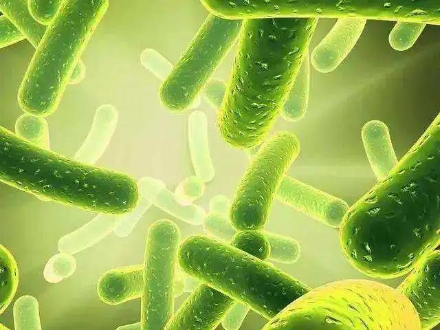 色翁荡息又大又硬又粗又爽