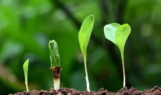 色翁荡息又大又硬又粗又爽