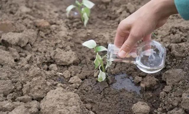 色翁荡息又大又硬又粗又爽