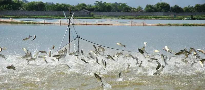 色翁荡息又大又硬又粗又爽