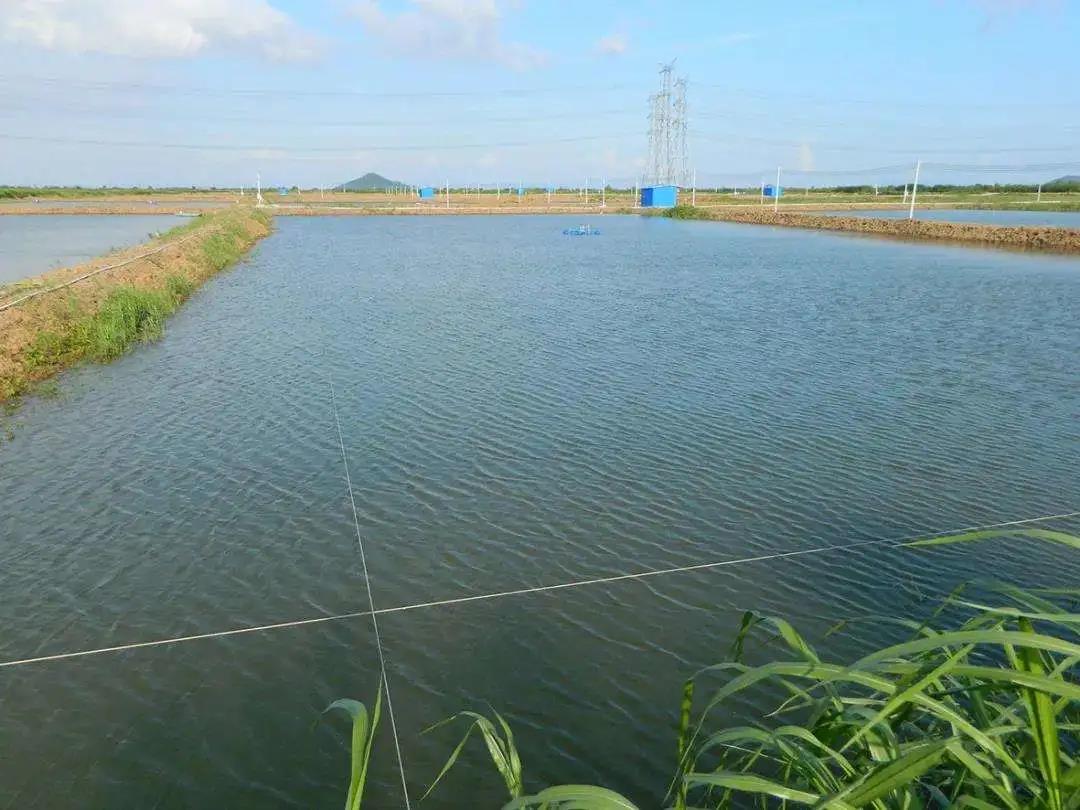 色翁荡息又大又硬又粗又爽