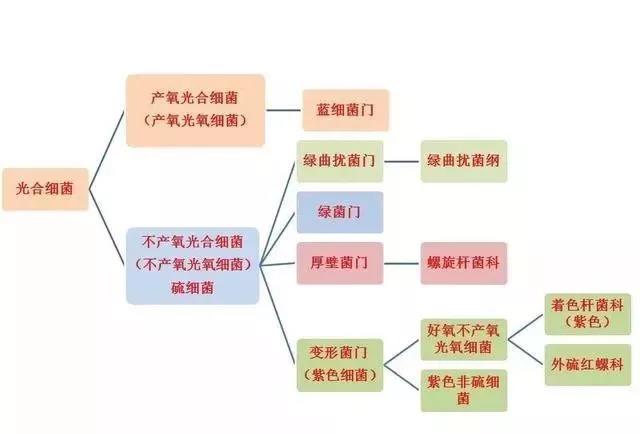 色翁荡息又大又硬又粗又爽