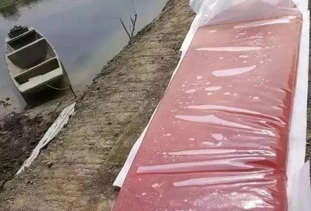 色翁荡息又大又硬又粗又爽