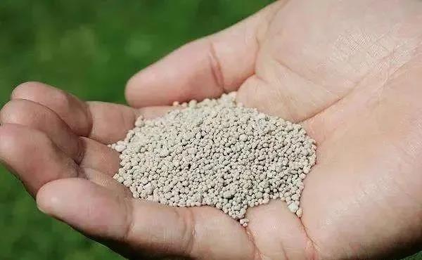 色翁荡息又大又硬又粗又爽