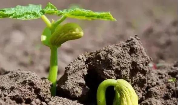 色翁荡息又大又硬又粗又爽