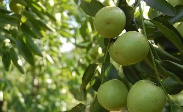 色翁荡息又大又硬又粗又爽