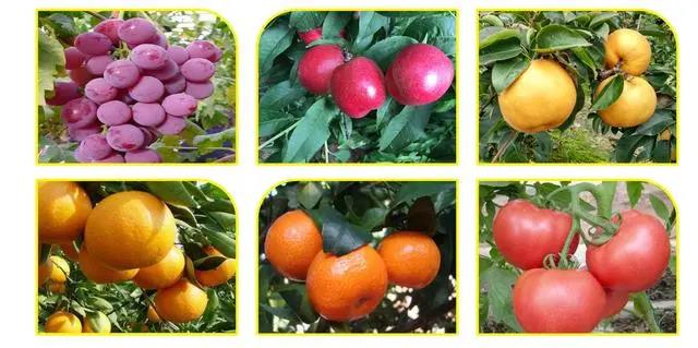 色翁荡息又大又硬又粗又爽