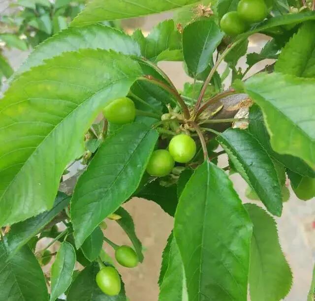 色翁荡息又大又硬又粗又爽