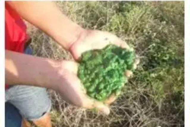 色翁荡息又大又硬又粗又爽