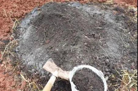 色翁荡息又大又硬又粗又爽