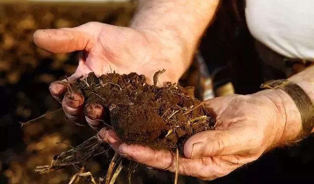 色翁荡息又大又硬又粗又爽