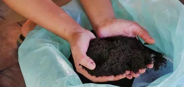 色翁荡息又大又硬又粗又爽