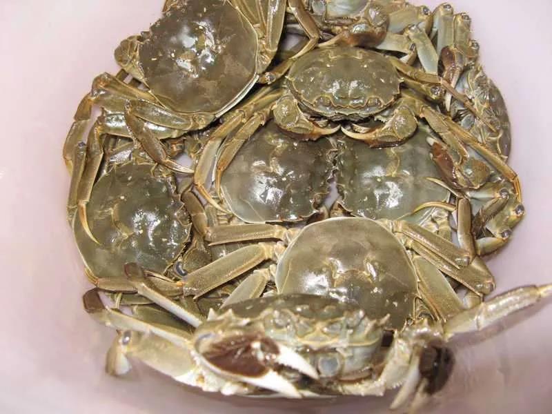 色翁荡息又大又硬又粗又爽