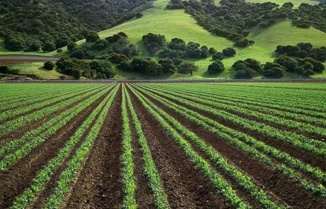 色翁荡息又大又硬又粗又爽