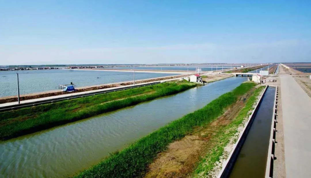 色翁荡息又大又硬又粗又爽