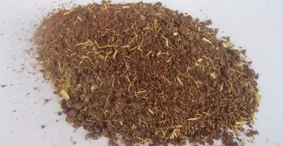 色翁荡息又大又硬又粗又爽