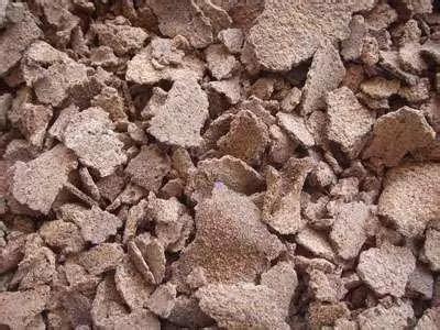 色翁荡息又大又硬又粗又爽