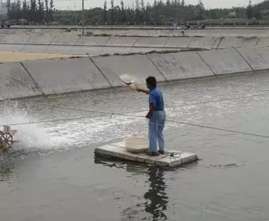 色翁荡息又大又硬又粗又爽