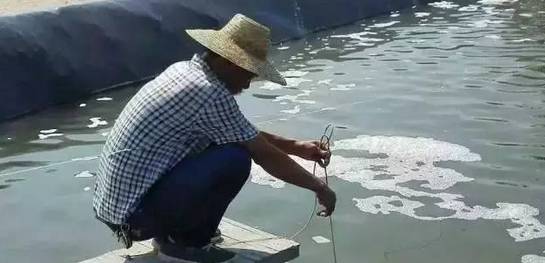 色翁荡息又大又硬又粗又爽