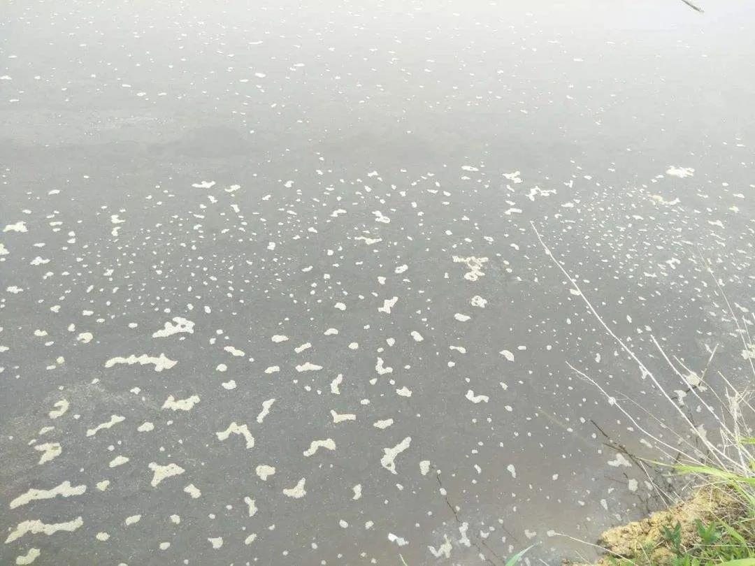 色翁荡息又大又硬又粗又爽