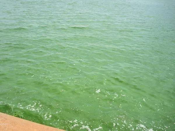 色翁荡息又大又硬又粗又爽