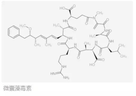 色翁荡息又大又硬又粗又爽