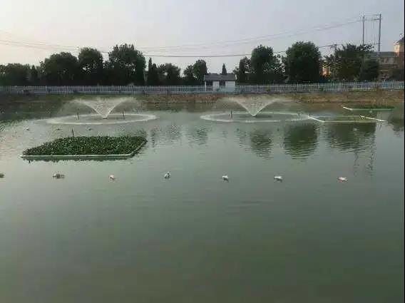 色翁荡息又大又硬又粗又爽