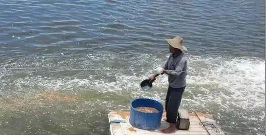 色翁荡息又大又硬又粗又爽