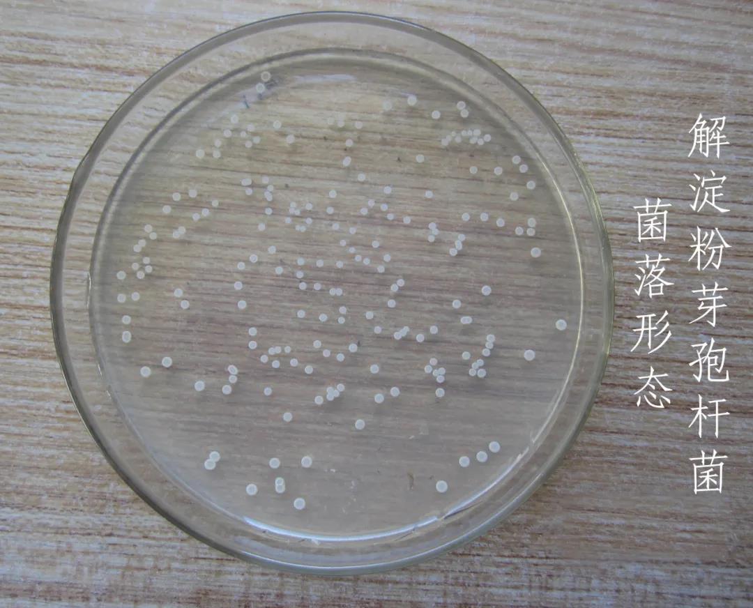 色翁荡息又大又硬又粗又爽