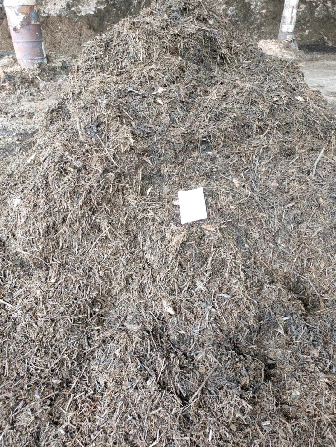 色翁荡息又大又硬又粗又爽